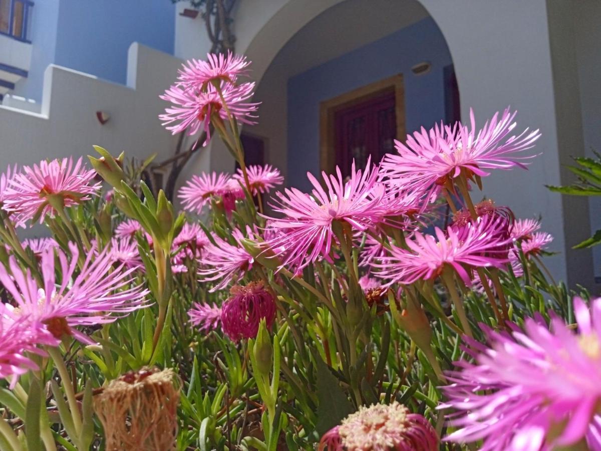 Nefeli Hotel Leros เอเจียมารินา ภายนอก รูปภาพ